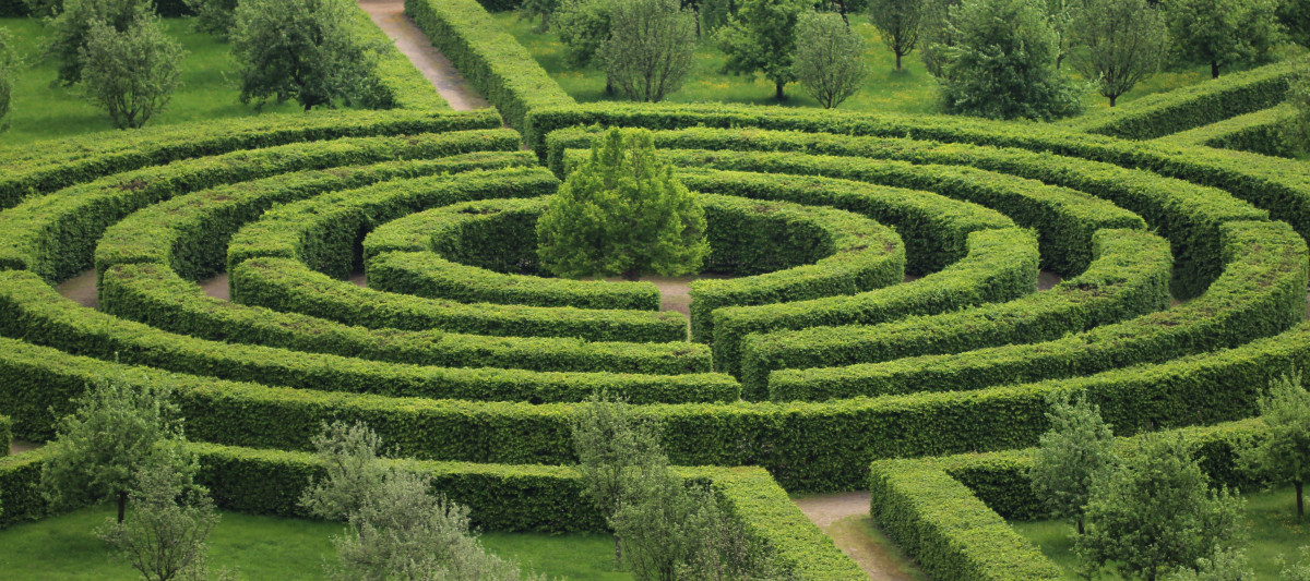 Labyrinthe Photo labyrinthe végétal